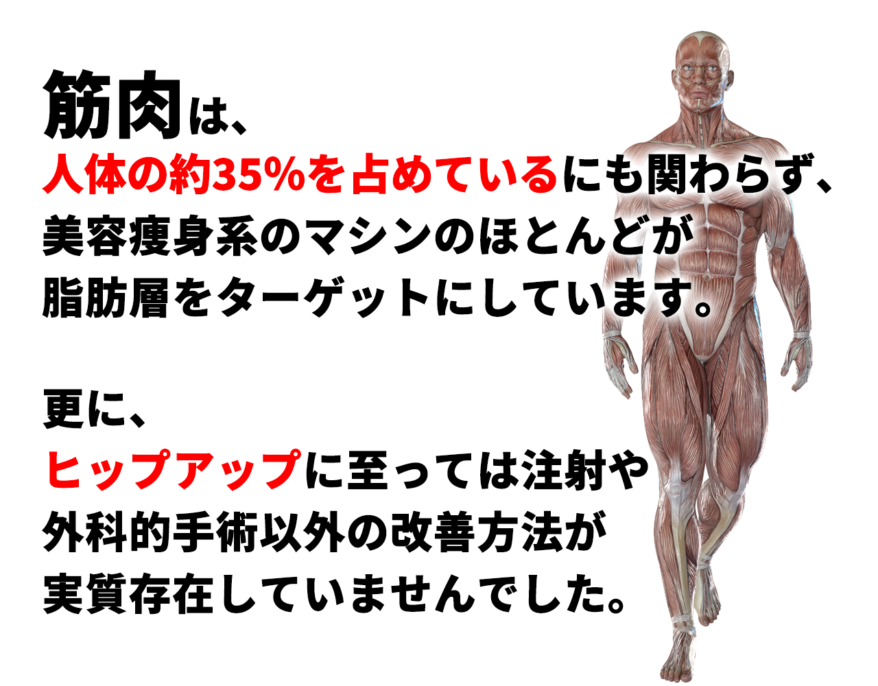 筋肉は、 人体の約35％を占めているにも関わらず、 美容痩身系のマシンのほとんどが 脂肪層をターゲットにしています。更に、 ヒップアップに至っては注射や外科的手術以外の改善方法が実質存在していませんでした。