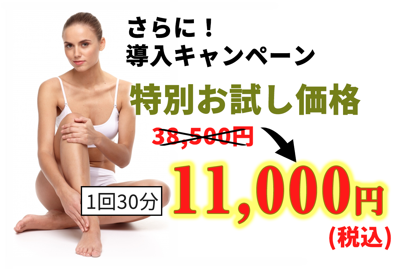 さらに！ フィットカービング導入キャンペーン特別お試し価格でご提供！
